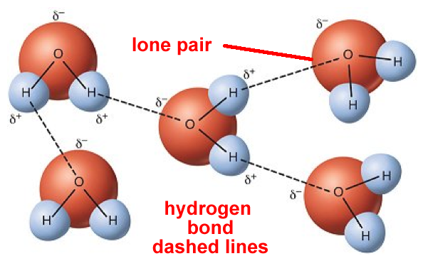 Intermolecular Forces